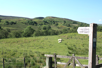 Butterchurn Guest House Bed & Breakfast In Otterburn Northumberland