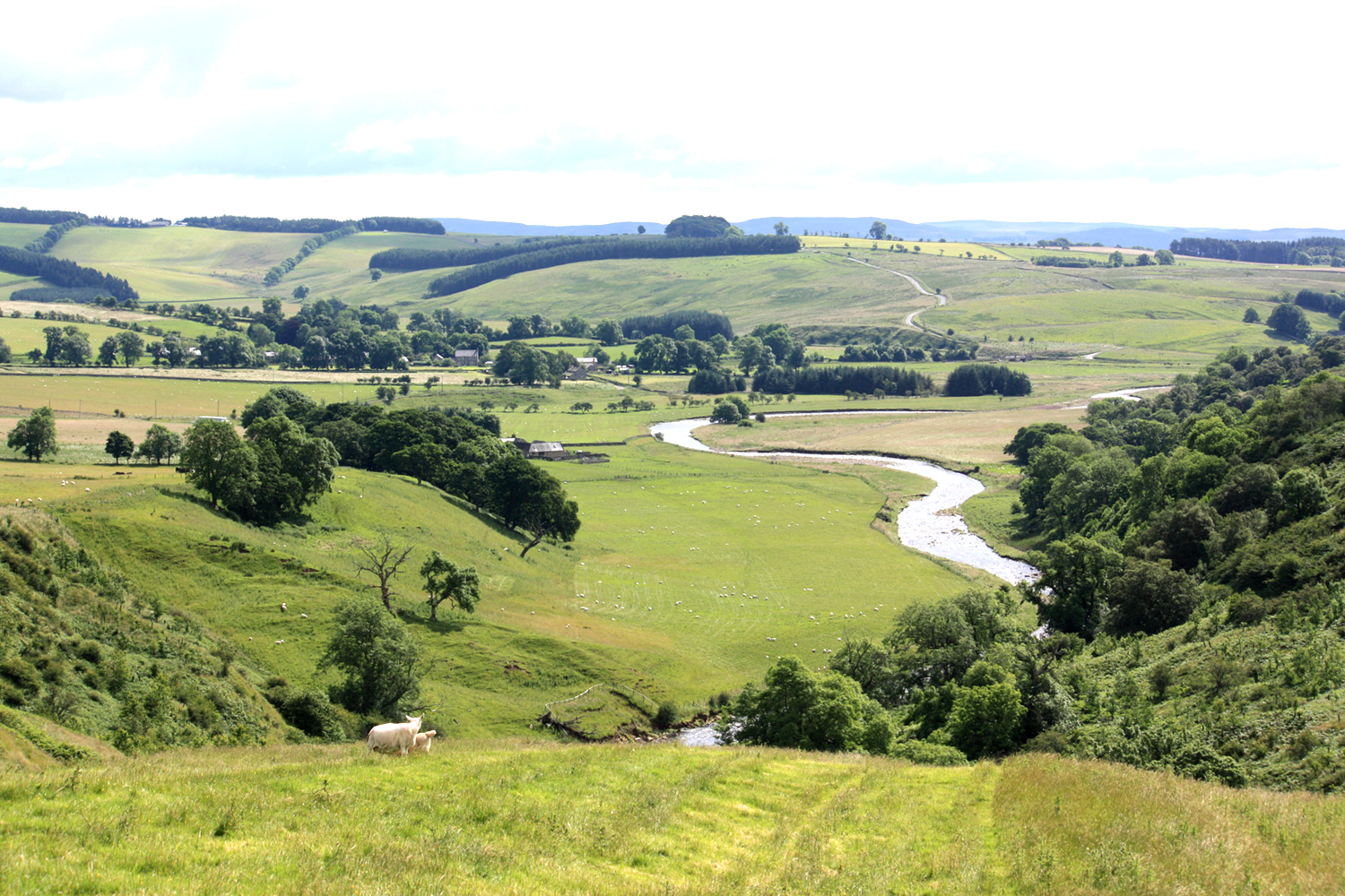 Butterchurn Guest House Bed & Breakfast In Otterburn Northumberland