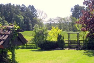 the back garden